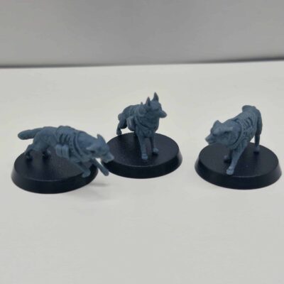 Pack of Dogs