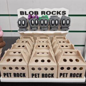 Adopt a Pet Rock